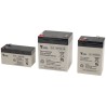 Batterie plomb AGM Yuasa NPL65-12 / 12V 65Ah