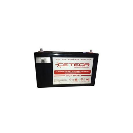 Regenerateur Renovateur Batterie Stationnaire 12v