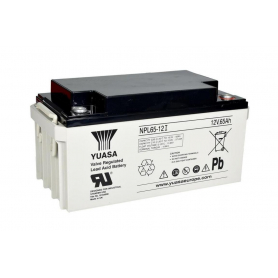 Batterie plomb AGM Yuasa NPL65-12 / 12V 65Ah