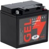Batterie moto Landport G60N30-3 12V 30Ah