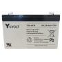 Batterie plomb AGM Yuasa Y10-6