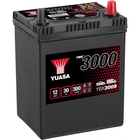 Batterie démarrage YBX3009