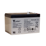 Batterie plomb AGM Yuasa Y12-12