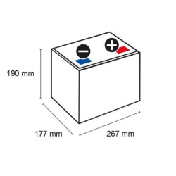 Batterie traction autolaveuse Hoppecke 12 TB 60 / 12V 60Ah