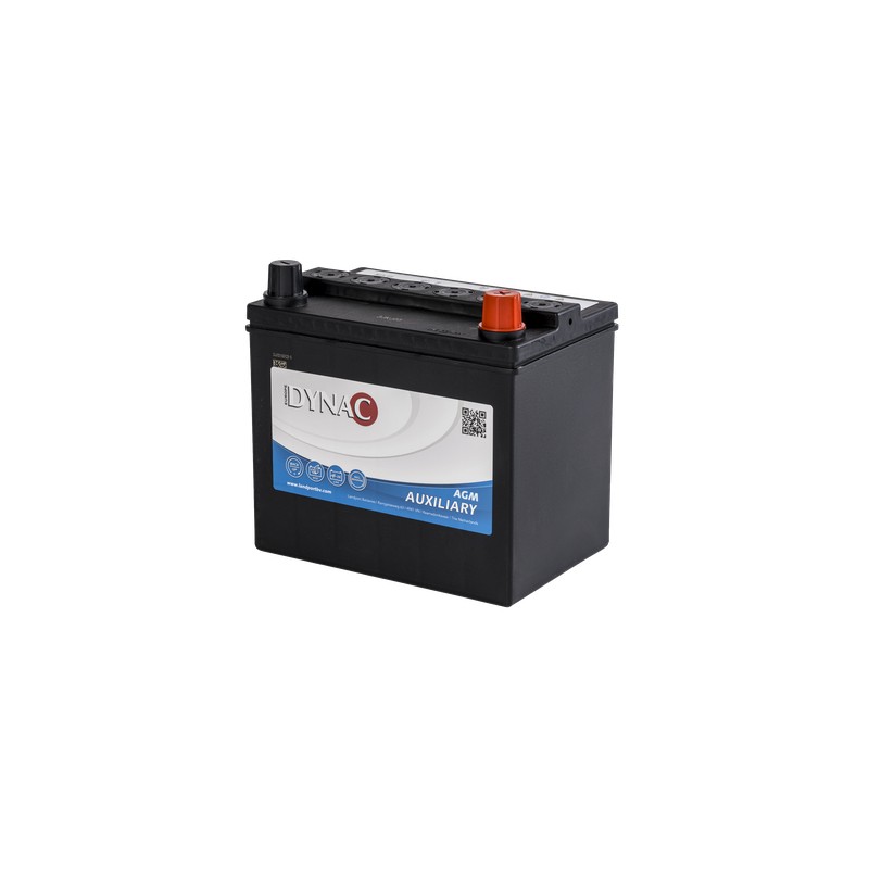 Batterie auxiliaire 12V 30Ah pour Tesla