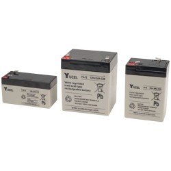 Batterie plomb AGM Yuasa NP7-12FR