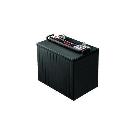 Batterie tarction autolaveuseYuasa DCB875-8 / 8V 170Ah