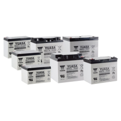 Yuasa REC36-12 – 12V 36AH C20 – AGM Cyclage