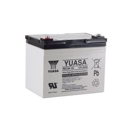 Batterie véhicules électriques Yuasa REC36-12