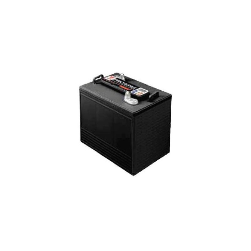 Batterie traction autolaveuse Yuasa DCB105-6 / 6V 225Ah