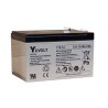Batterie plomb AGM Yuasa Y12-12