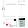 Batterie plomb AGM Yuasa Y4-6