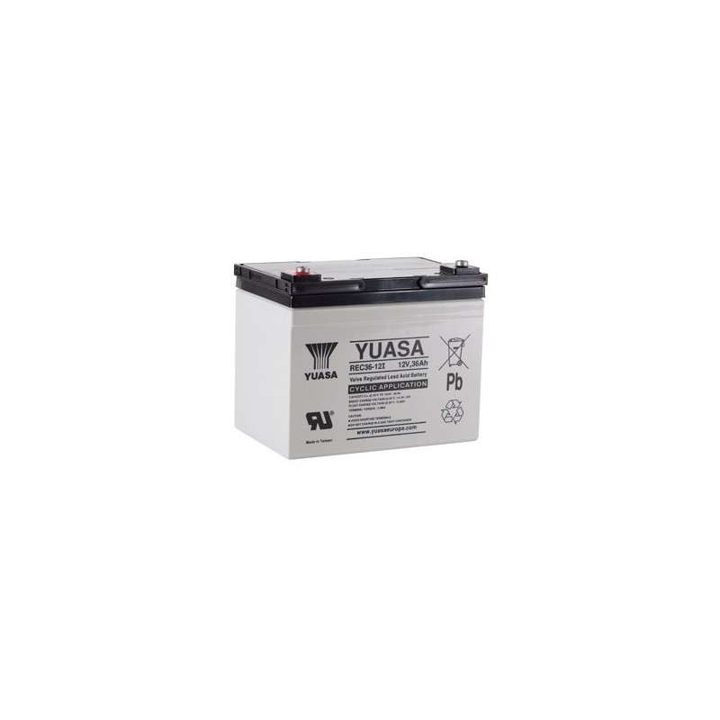 Batterie véhicules électriques Yuasa REC36-12